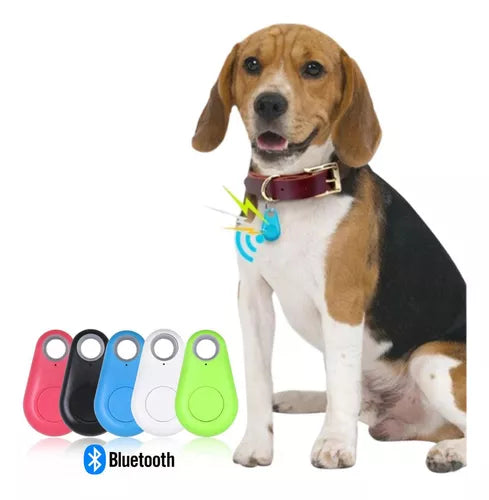 Mini Gps para Cães