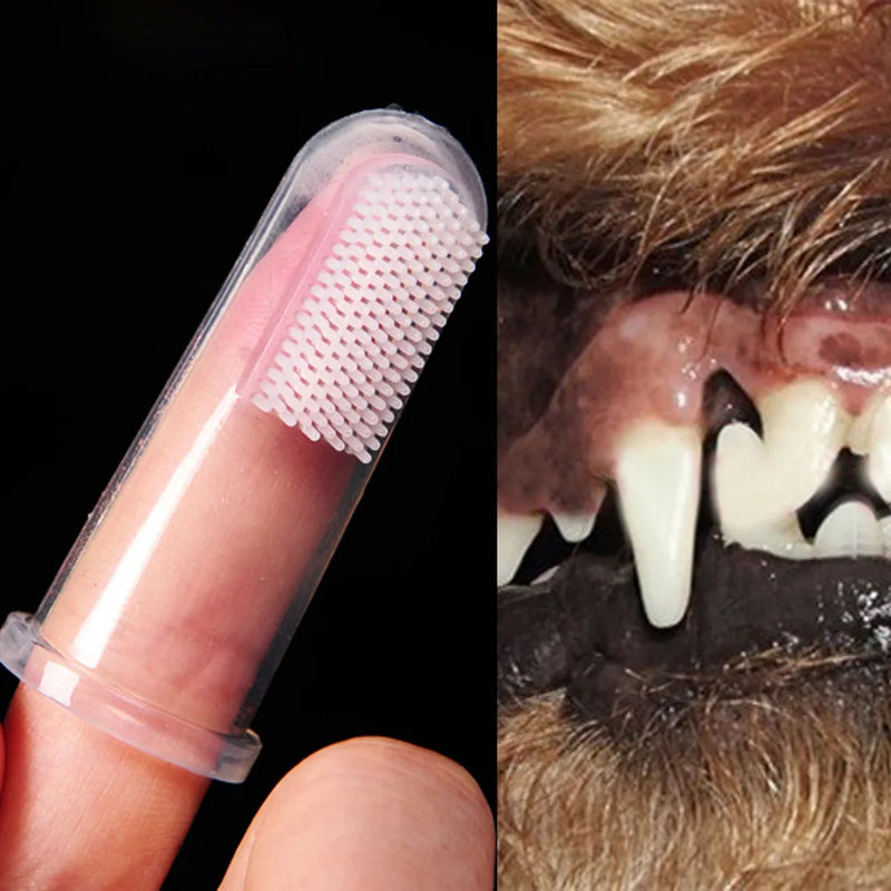 Escova de Dente Dedeira para cães