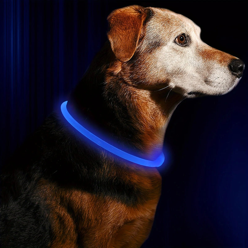 Pet Dog LED Light Collar Luminous Anti-Lost Dog Collar USB Rechargeable Dog Necklace Collar