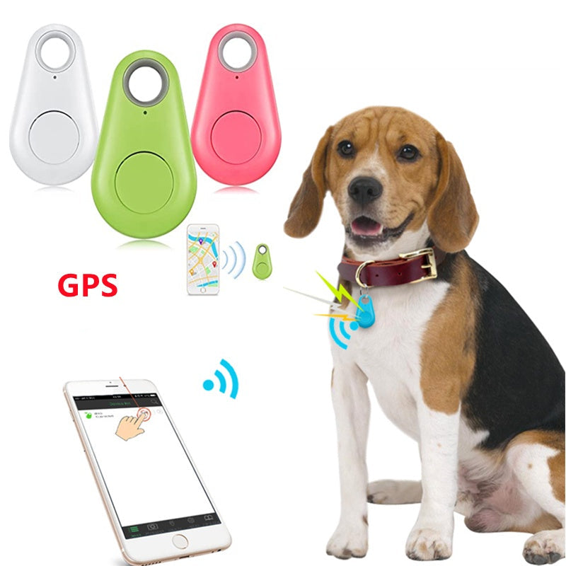 Mini Gps para Cães